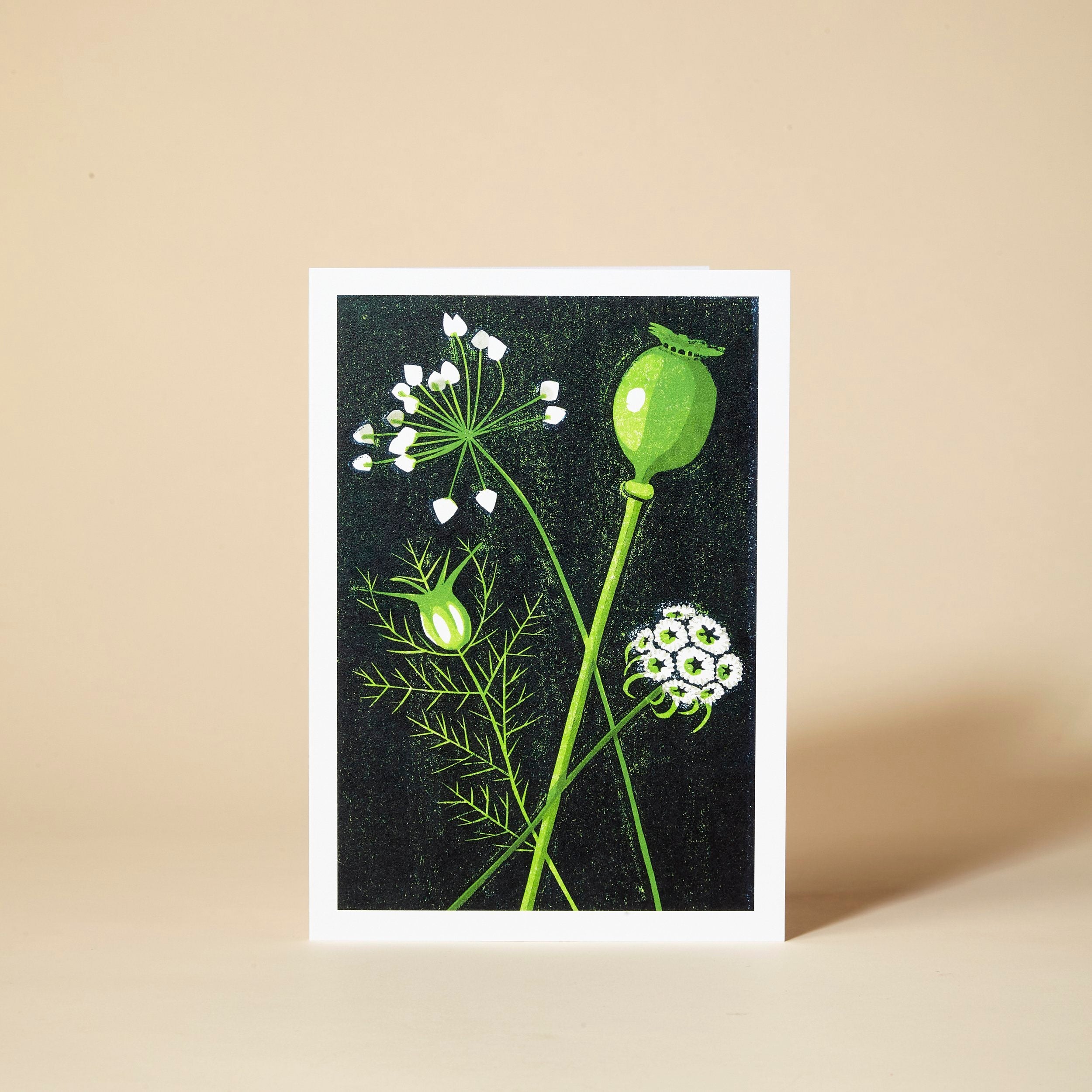 Seed Heads Greeting Card | Schumacher Boutique