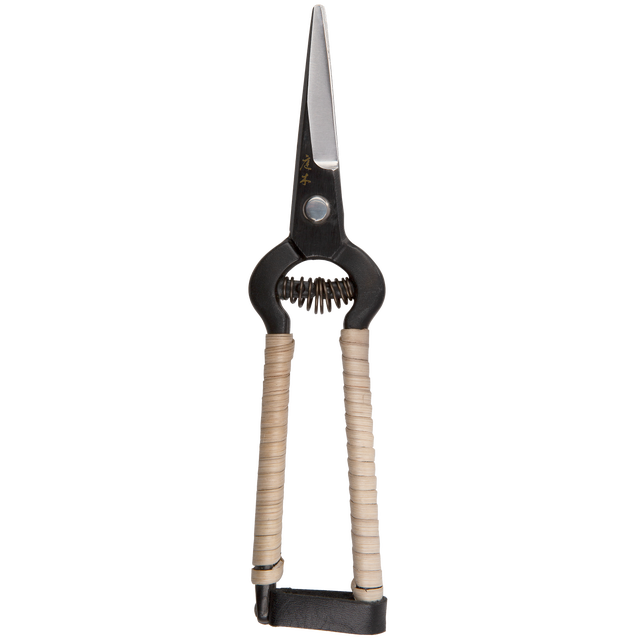 Gardening & Outdoor Schumacher Boutique