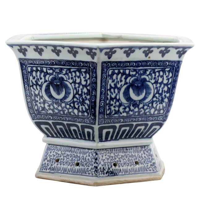 Gardening & Outdoor Schumacher Boutique